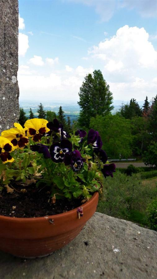 A Due Passi Dal Chianti Appartement Cavriglia Buitenkant foto