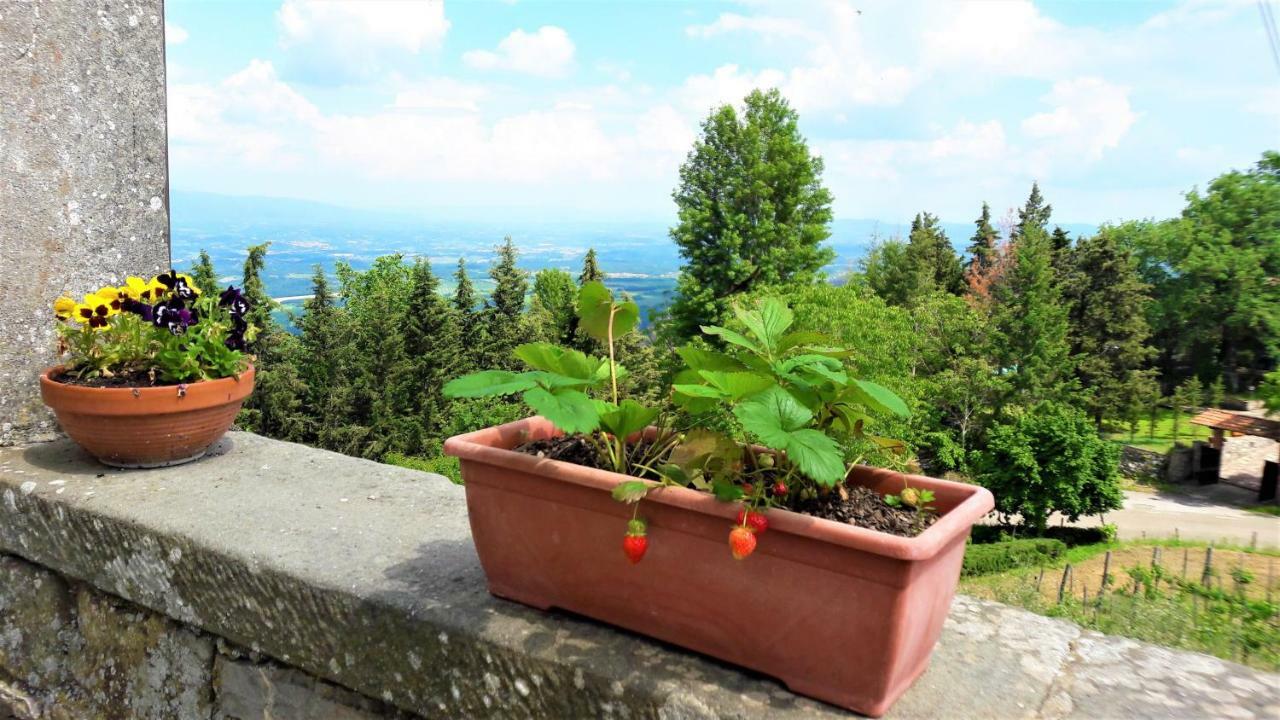 A Due Passi Dal Chianti Appartement Cavriglia Buitenkant foto